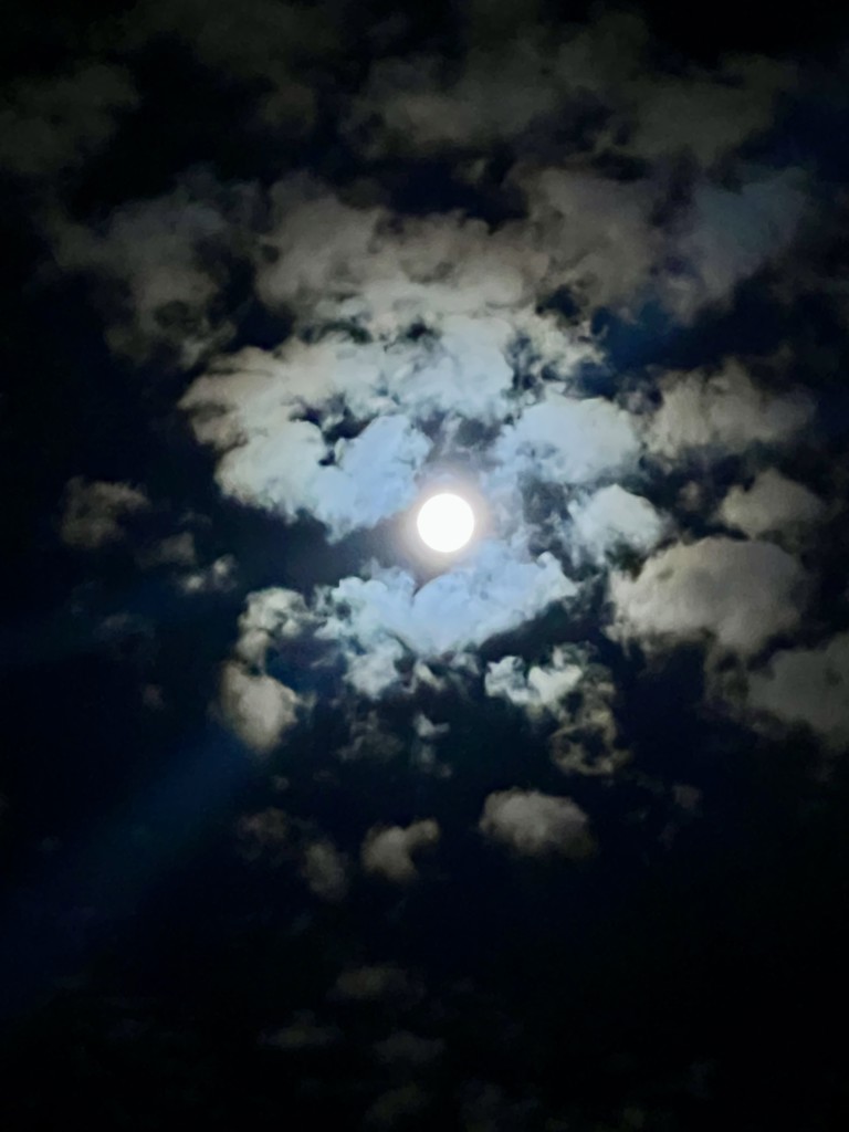 ユーザーアイコン