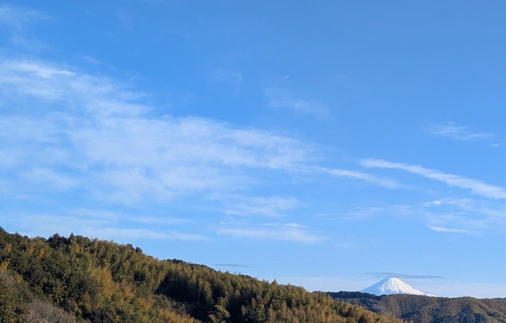 りん