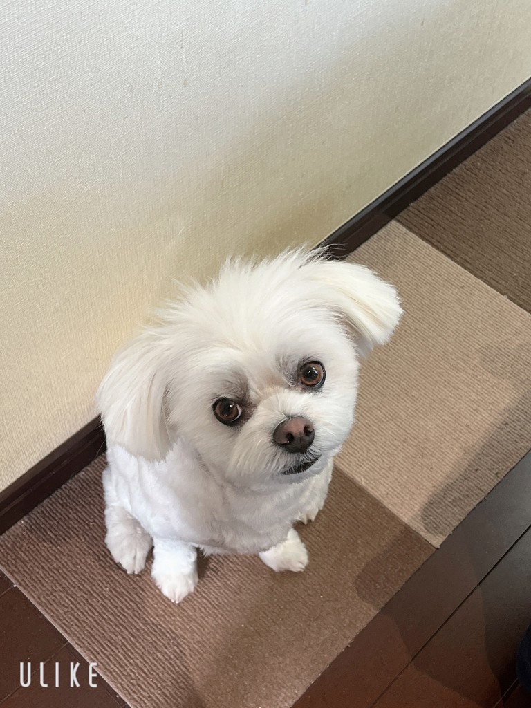 なお