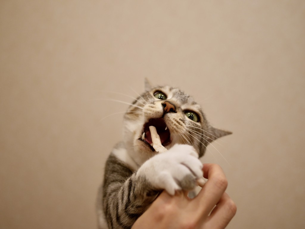 アメタン