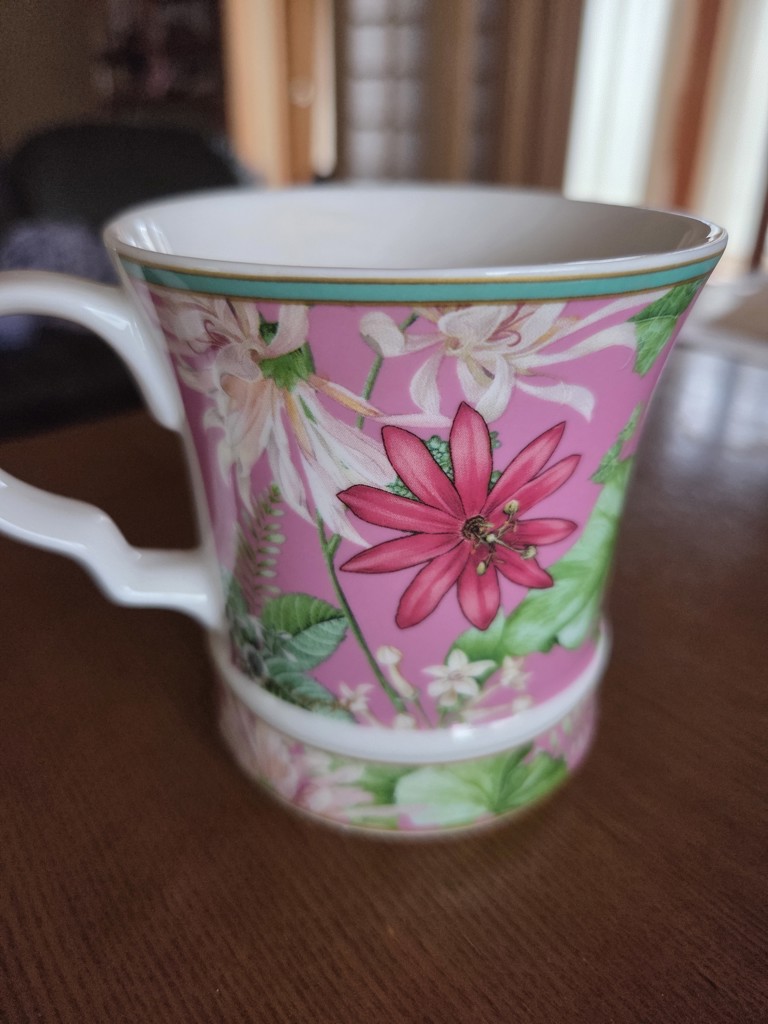 まよちゃんのママ