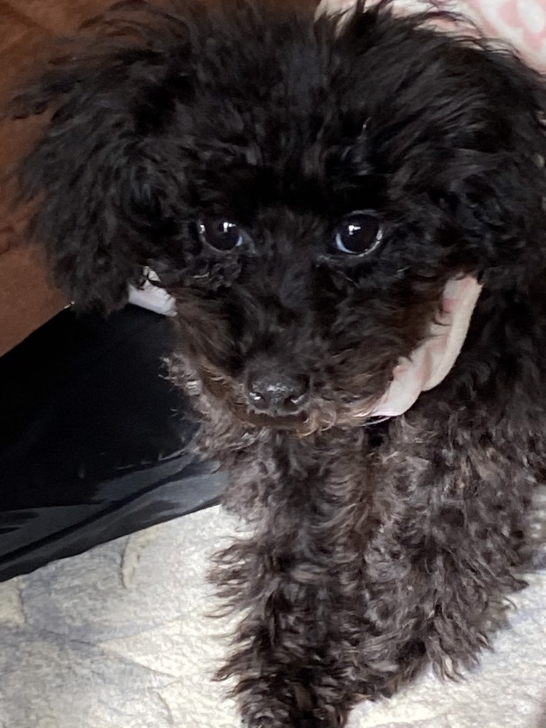 no name
