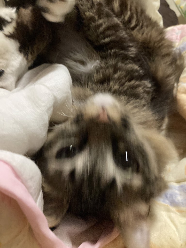 no name