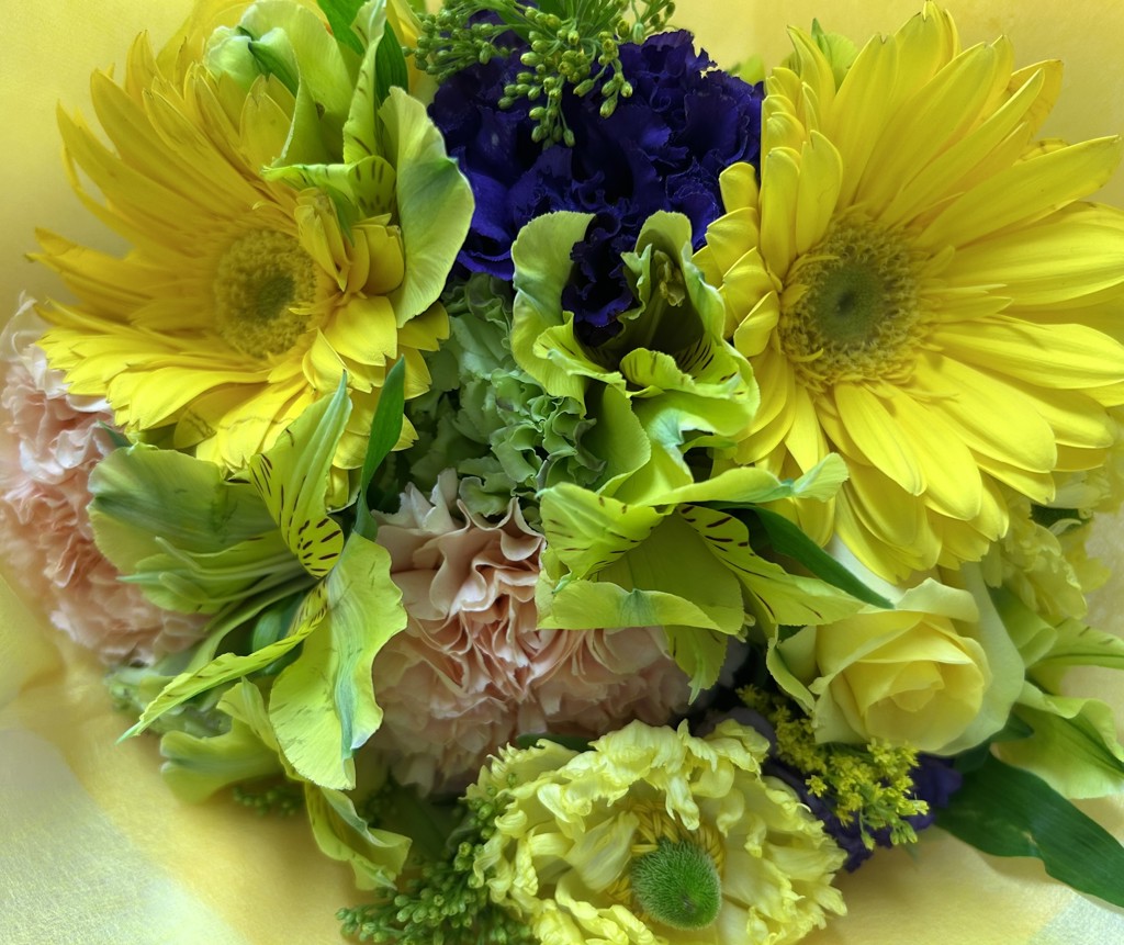 ユーザーアイコン