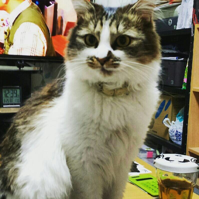 シヤフリャール