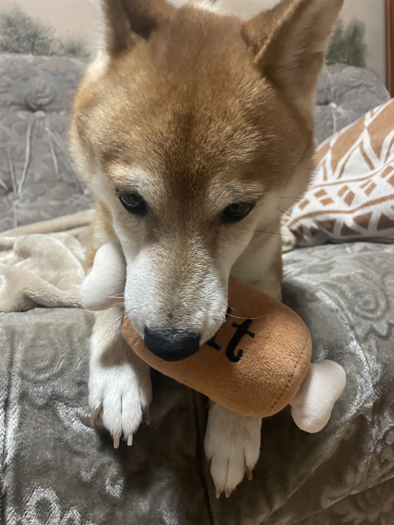 のんちゃん