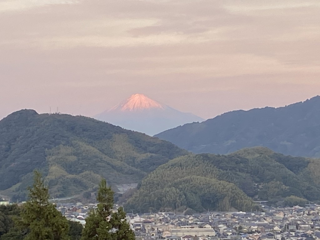 かめさん