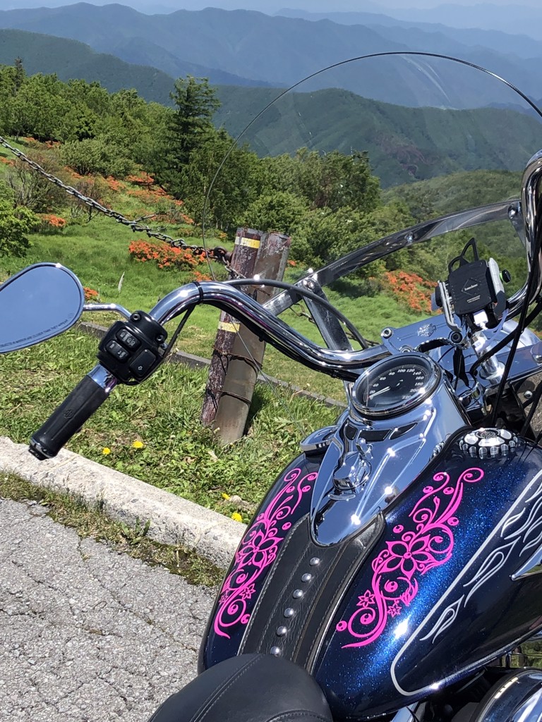 ぽりん