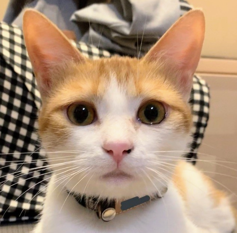 さんママ