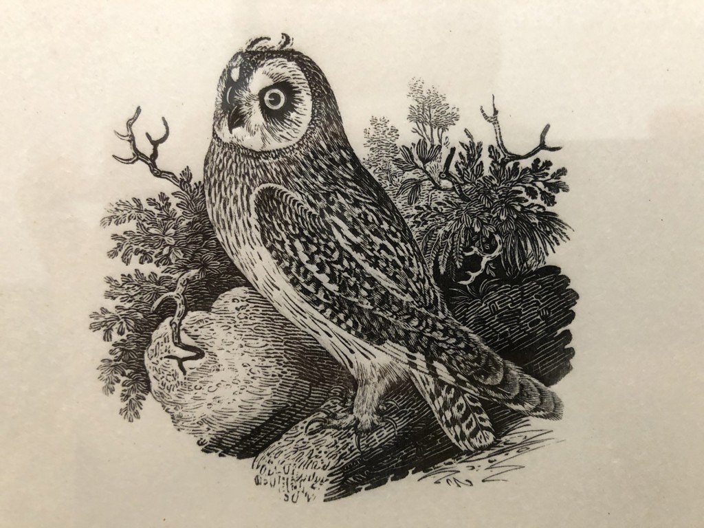 ロールトップボード ウォールナット 71vYG94O7SL._UF894,1000_QL80_.jpg