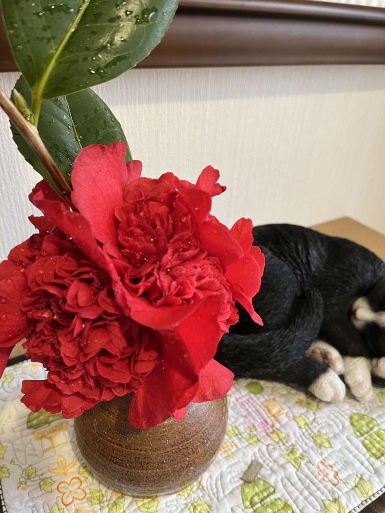 ユーザーアイコン