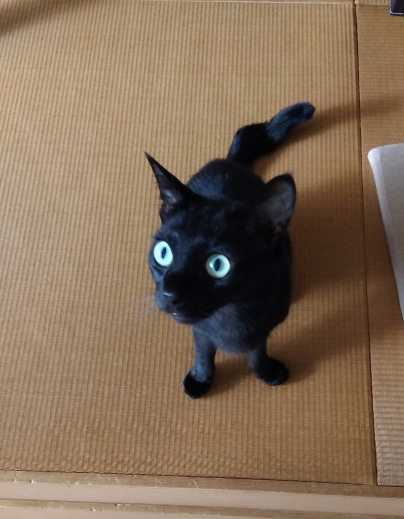 ネロ