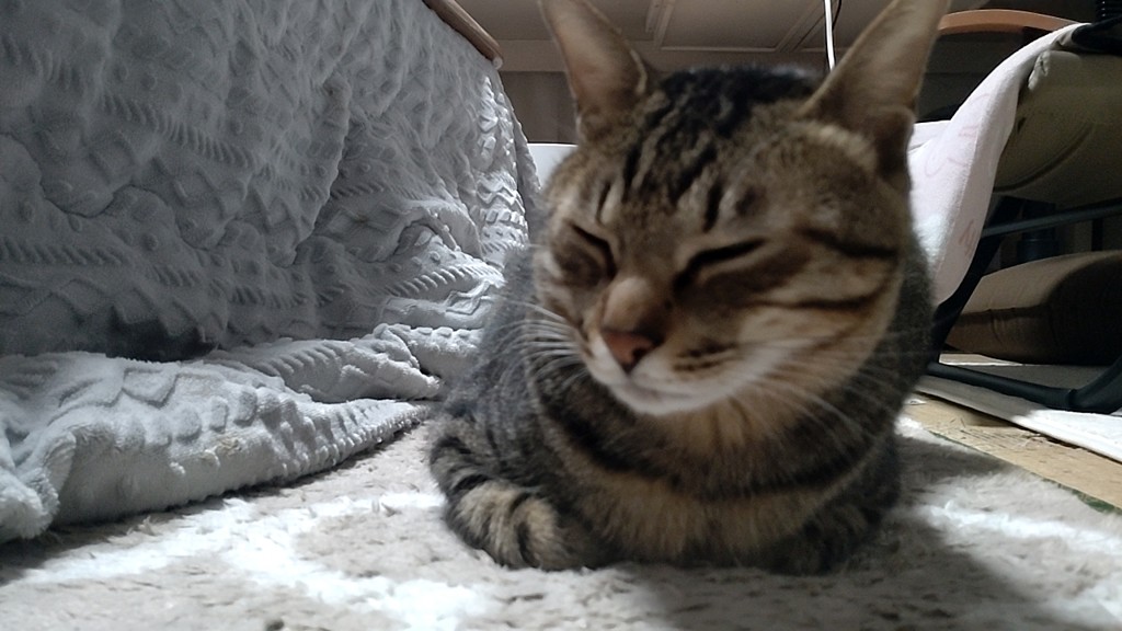 はるママ