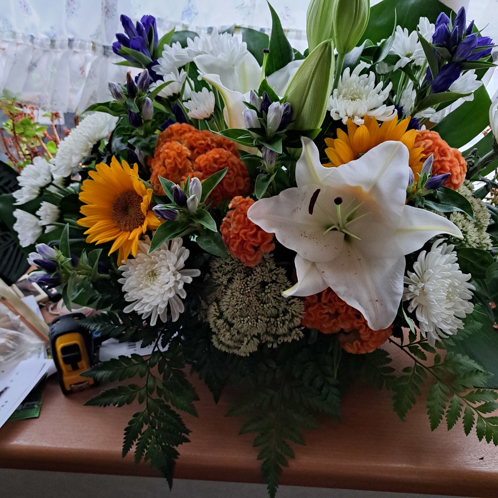 たこ焼き食べたい