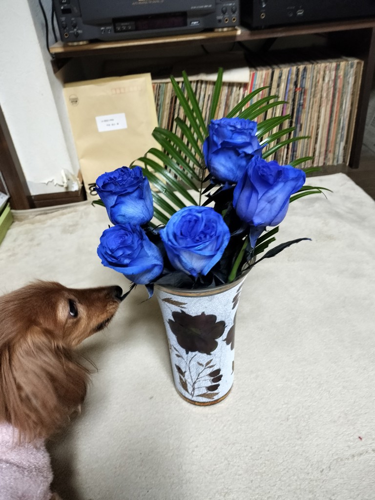 ユーザーアイコン