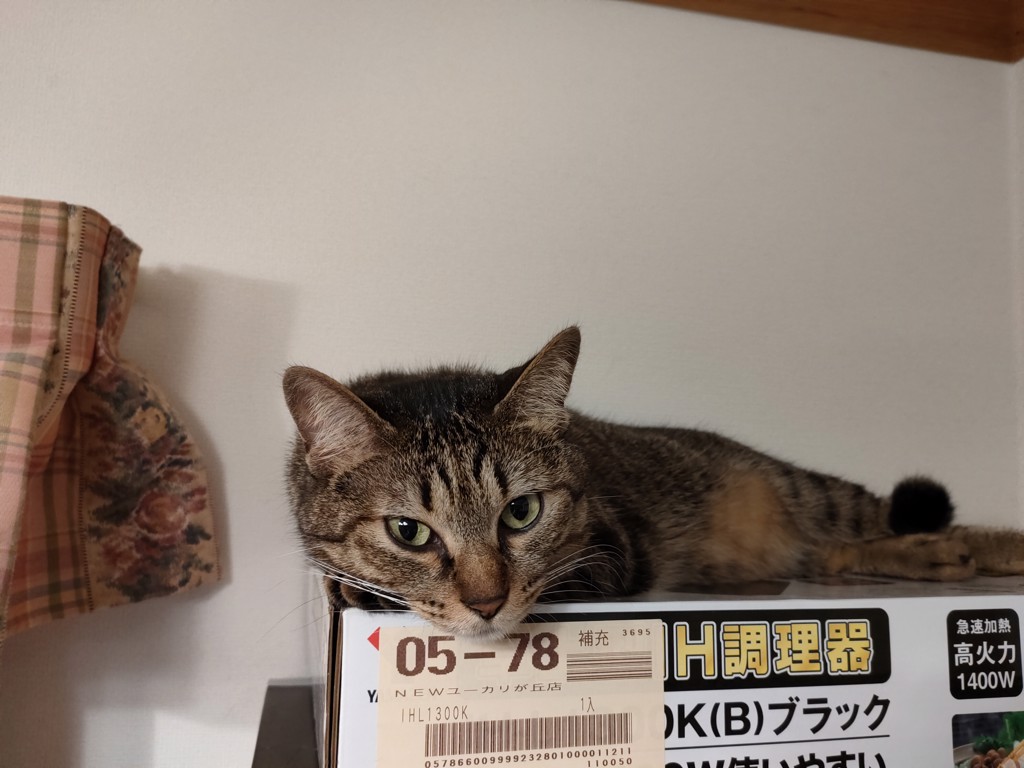 さすけ