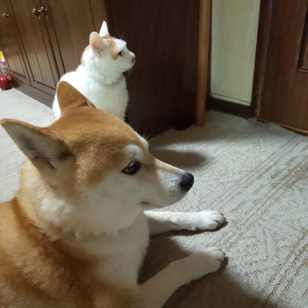 さち