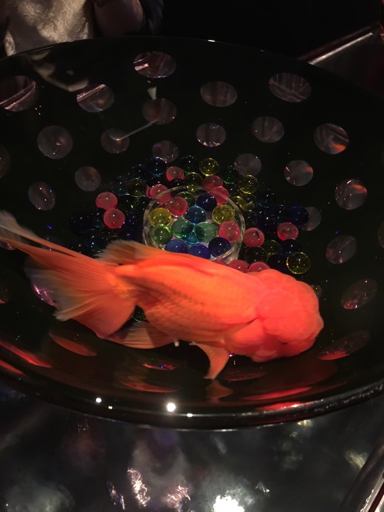 お花坊