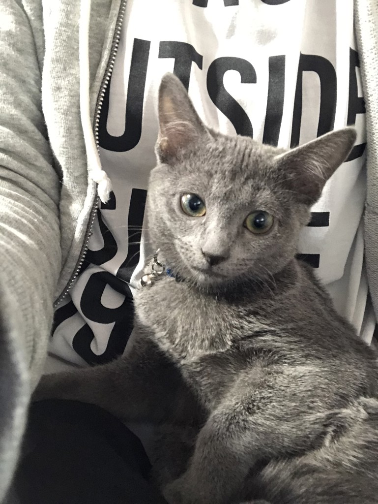 Luna