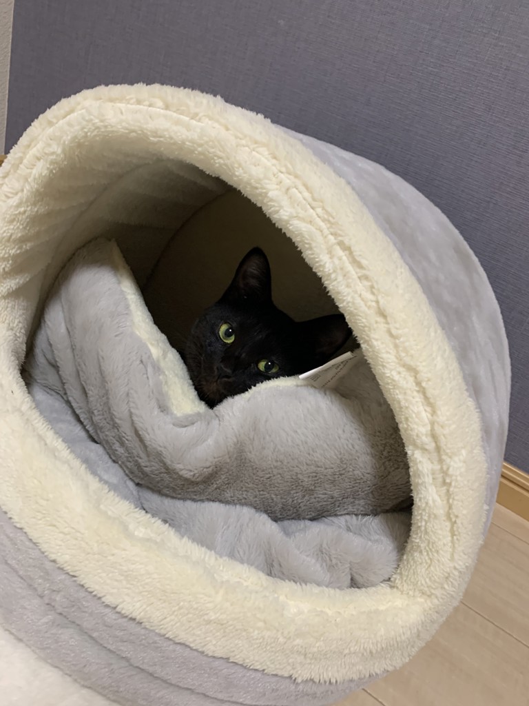 すなちゃん