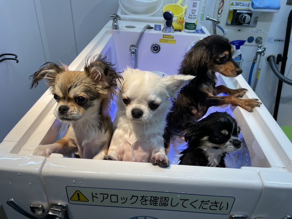 ララ