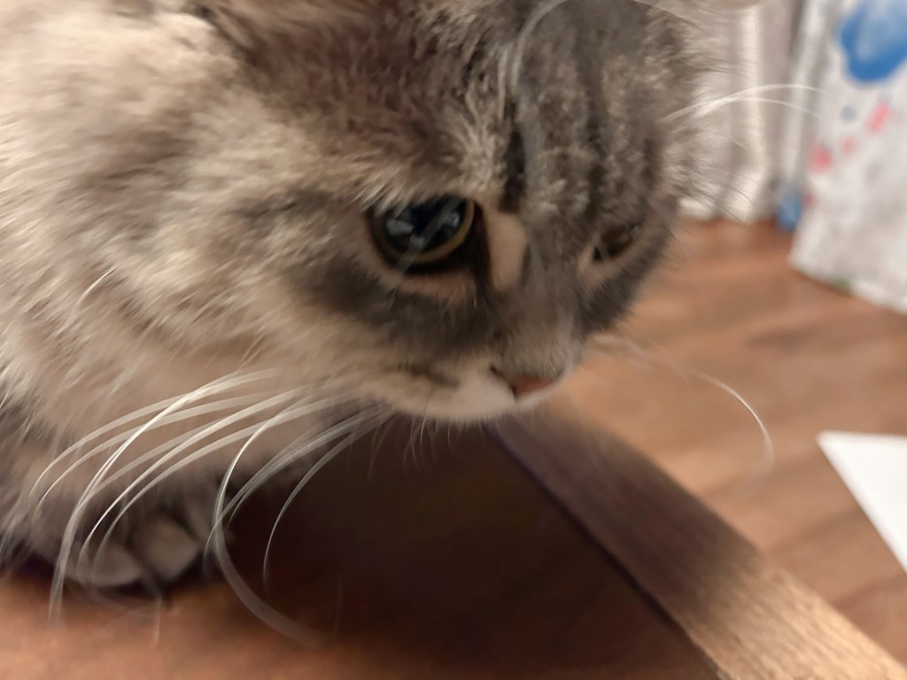 no name