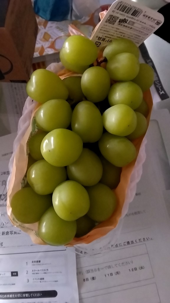 ぽっちぇ