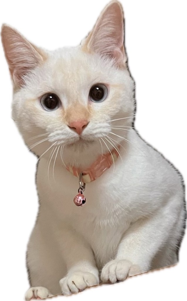 りー