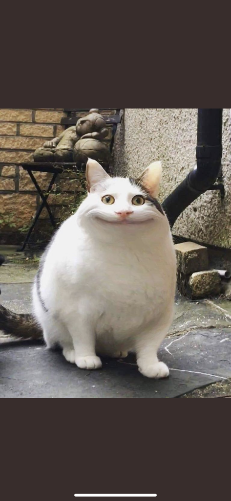 ケロ