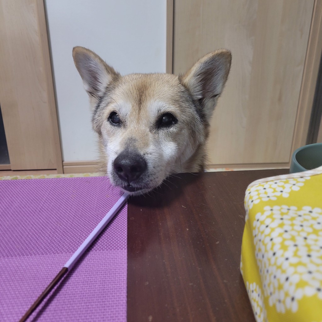 あーこ