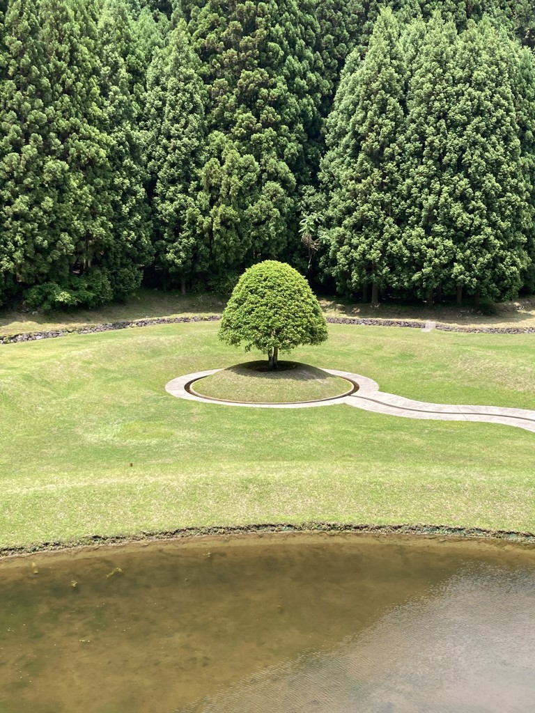 橘桜