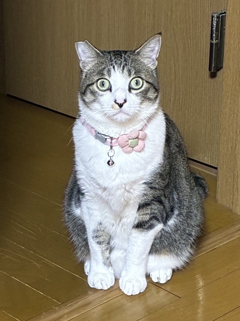 SUKALA】ノスタルジックフラワープリントレギンス(XS・S・M・Lサイズ