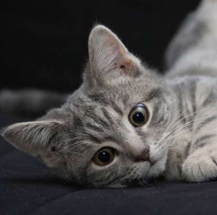 no name