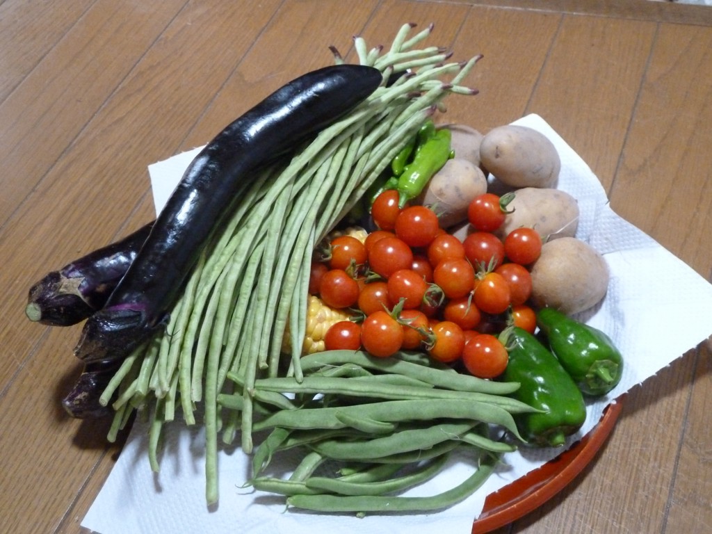 はたもり菜園
