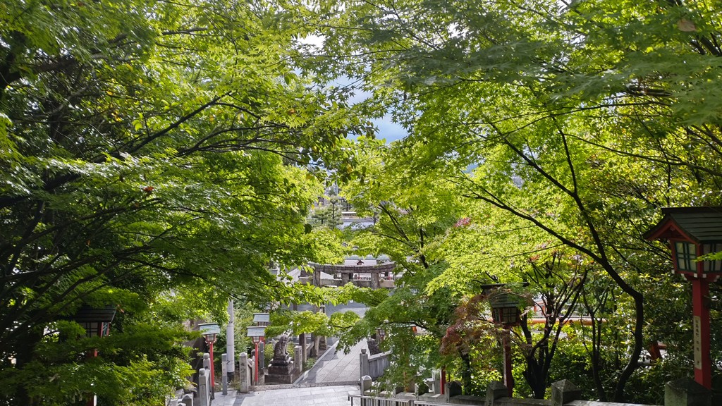 青葉時雨