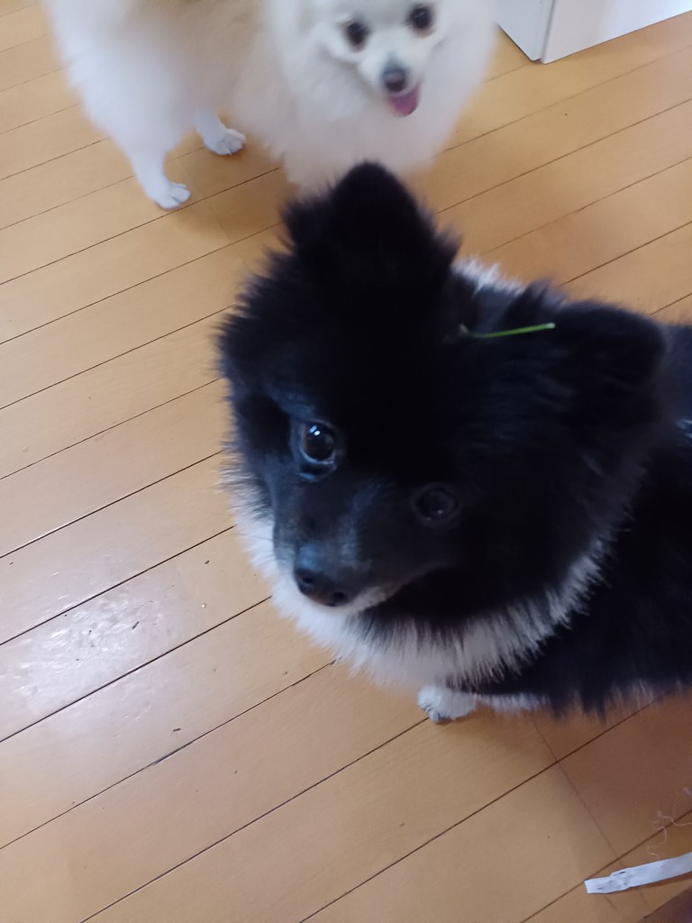 おかん