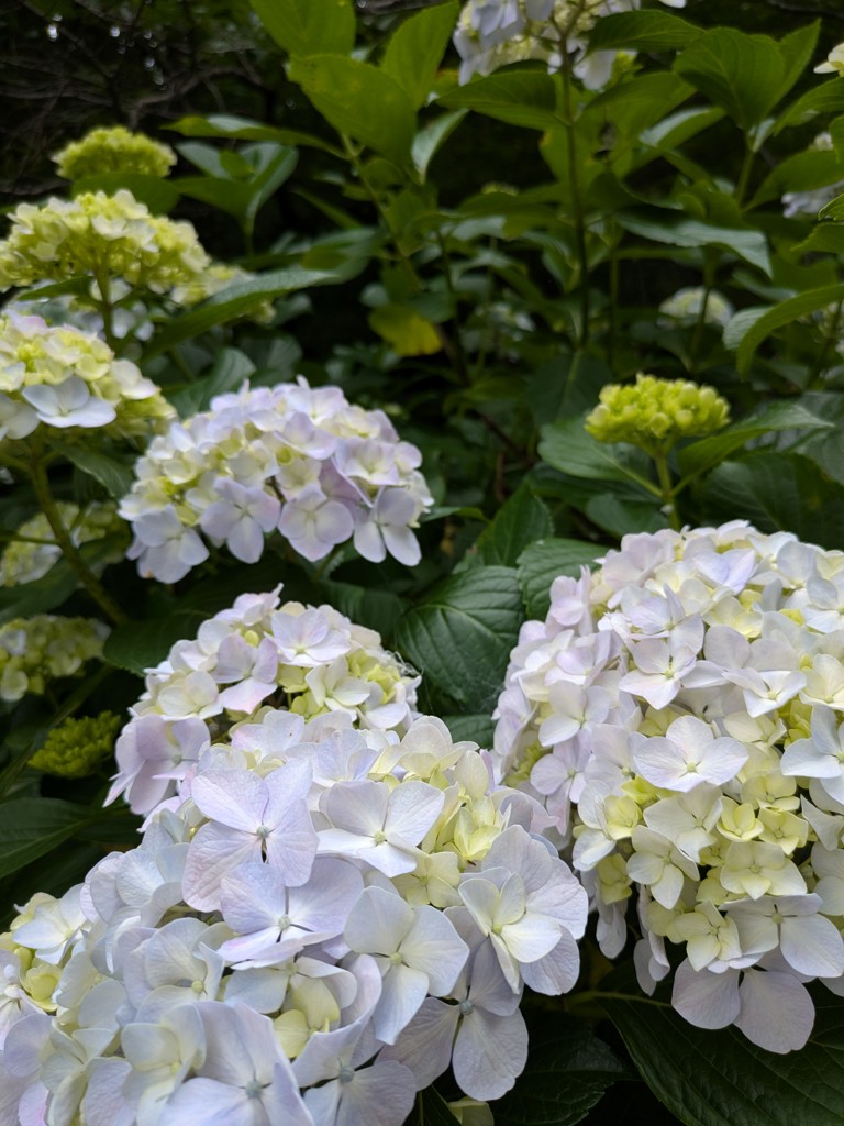 78