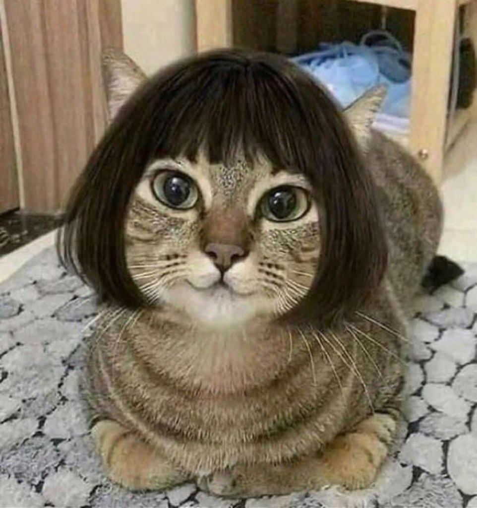 ヤスミン