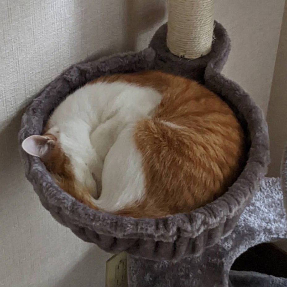 suikun