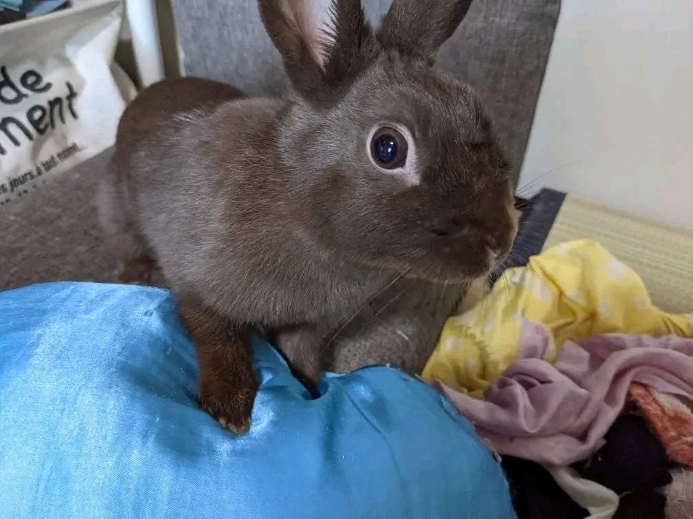 ユーザーアイコン