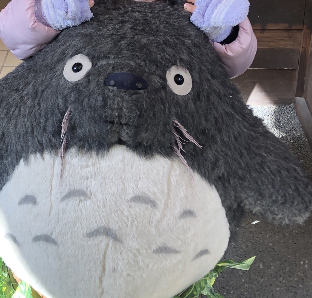 カイミ