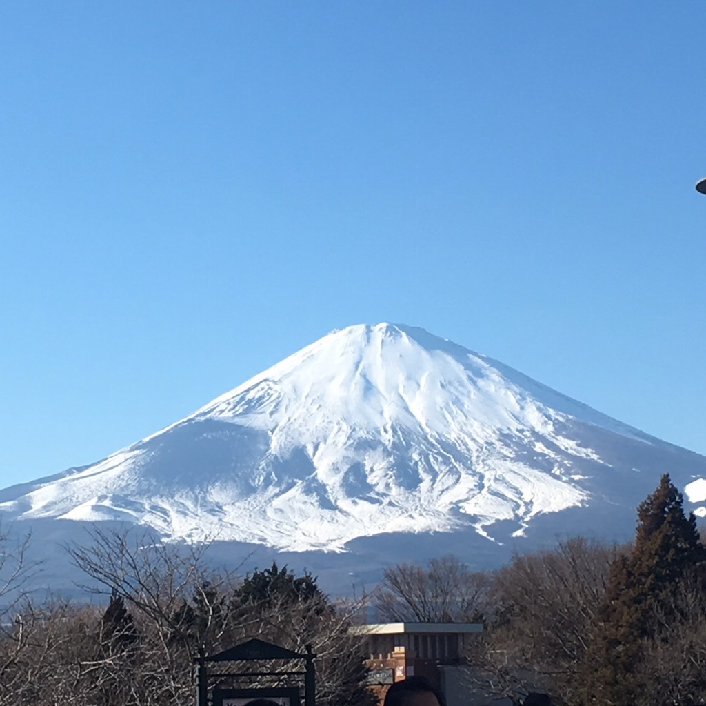 れおんたん