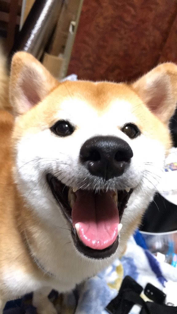 ユーザーアイコン