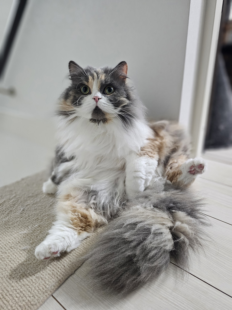 ユーザーアイコン