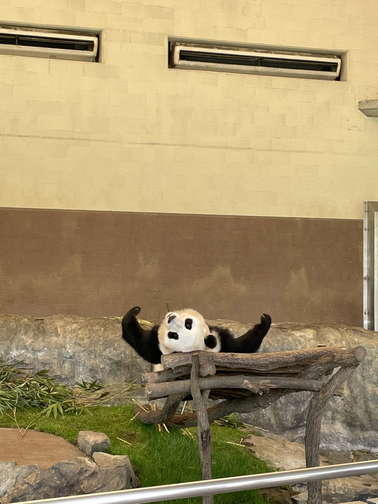 かなっぺ