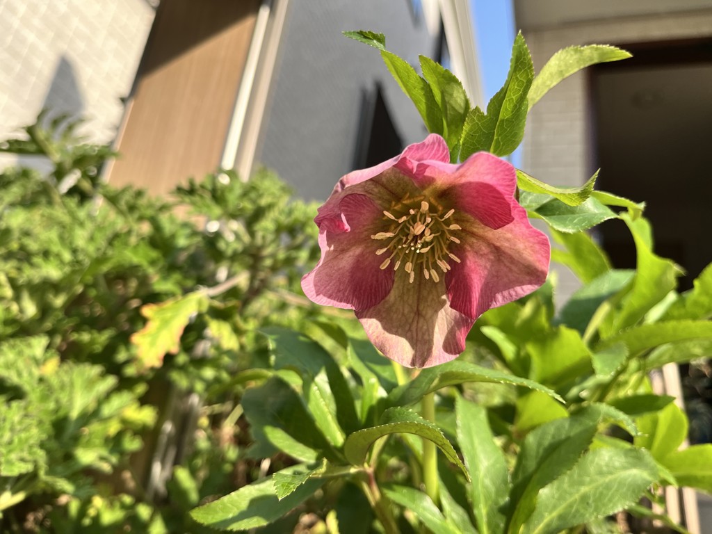 あき