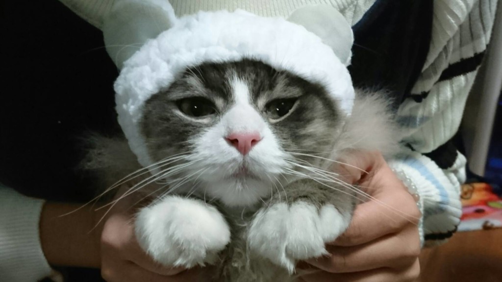 バロン