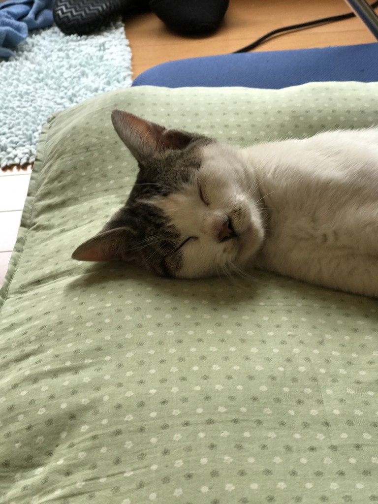 モーピーとミュー