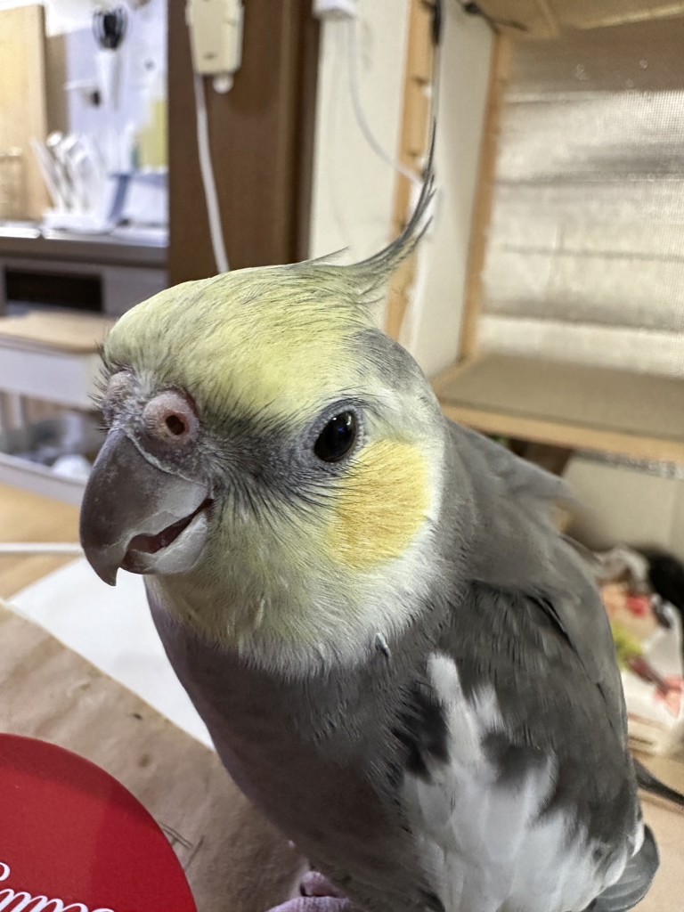 ユーザーアイコン