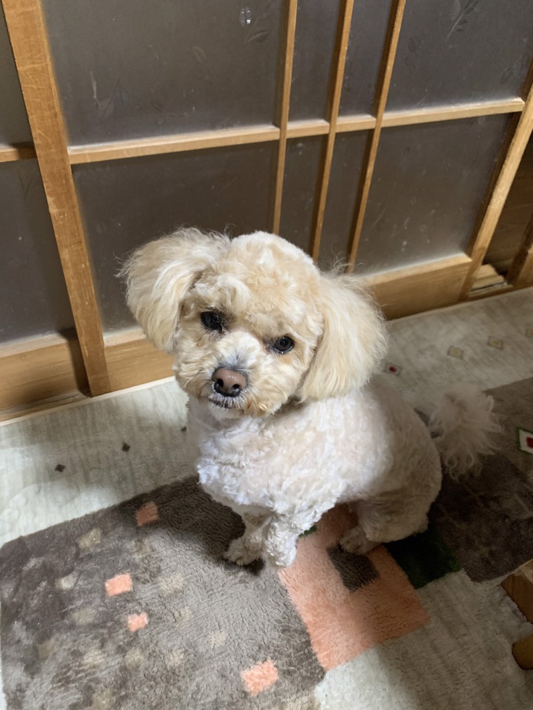 かっちゃん